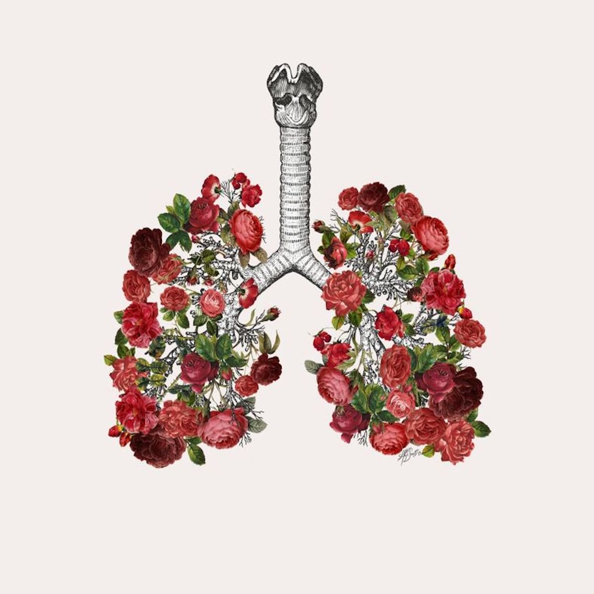 Australia - I'm asking for your help! - Eco By Sonya Europe