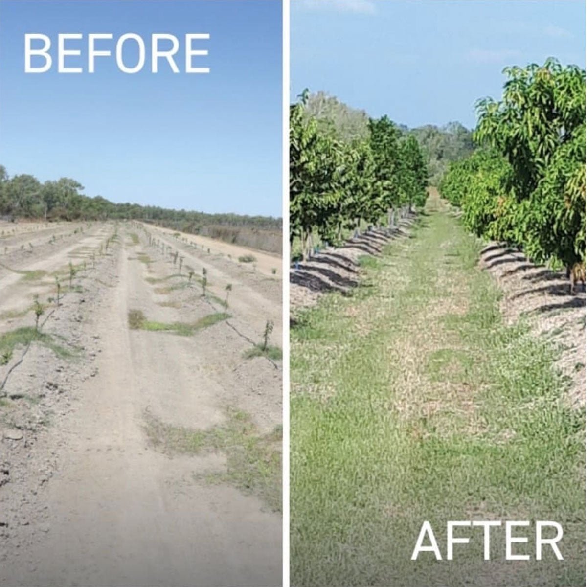 Greenfleet - Eco By Sonya Europe