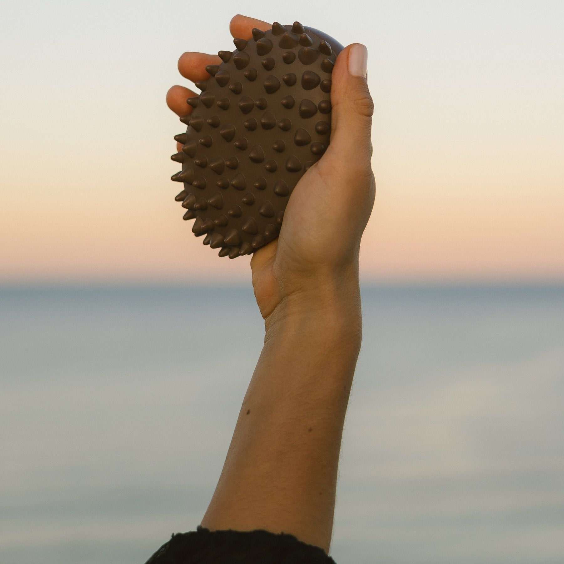 Hand holding Eco By Sonya Body Workout against the sunset