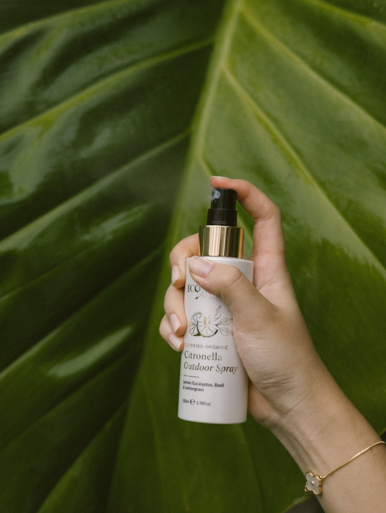 Hand holding a bottle of Eco By Sonya Citronella Outdoor Spray against a green leaf background